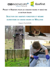 Grands murins Ecofirst CSD