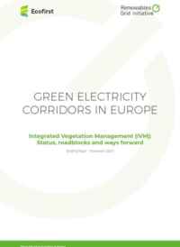 RGI and Ecofirst 2019 Green electricity corridors in Europe Integrated