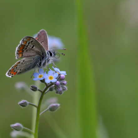 2016 06 01 13 23 38 v1