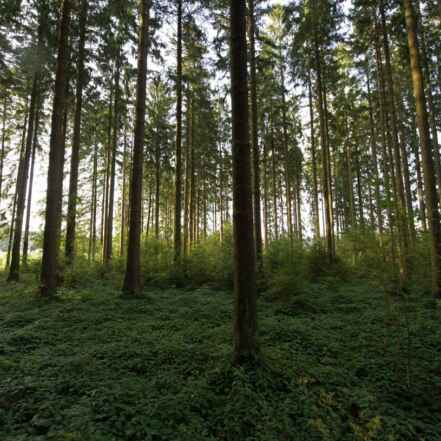 Propriétés privées 2