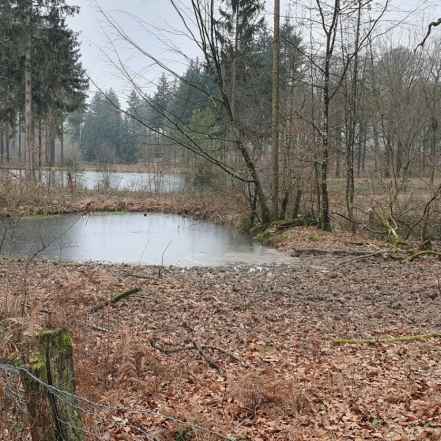 SRBF Ma parcelle en réserve