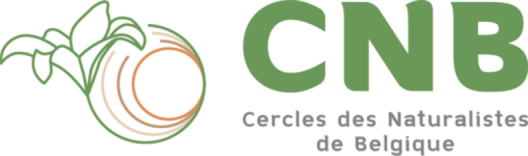 Logo cnb 24 e1704100041472