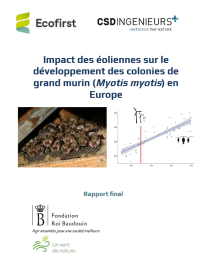 Couverture rapport final