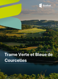 TVB Courcelles
